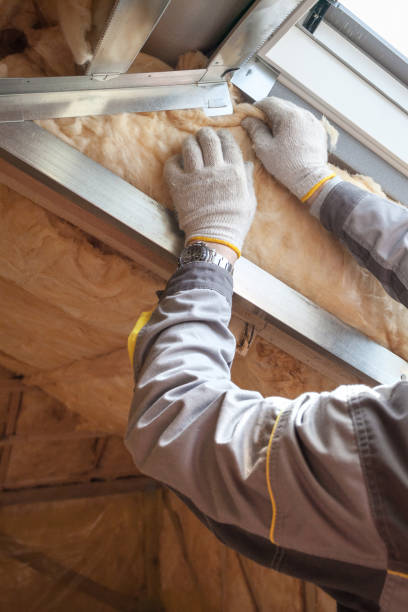 Types of Insulation We Offer in Reform, AL